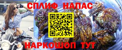 Альфа ПВП Донской